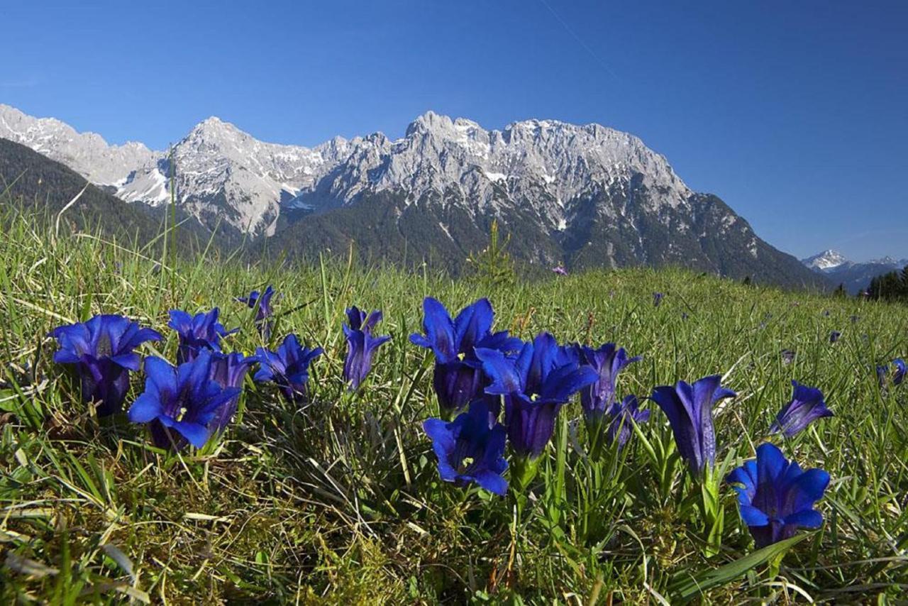 Ferienwohnungen Anton Geierstanger Wallgau Buitenkant foto